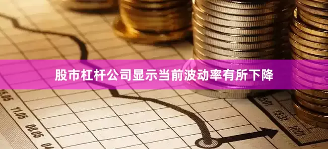 股市杠杆公司显示当前波动率有所下降