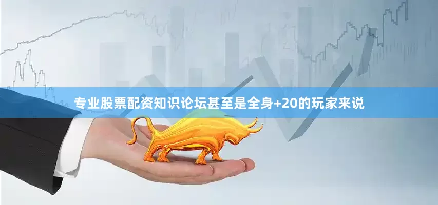 专业股票配资知识论坛甚至是全身+20的玩家来说